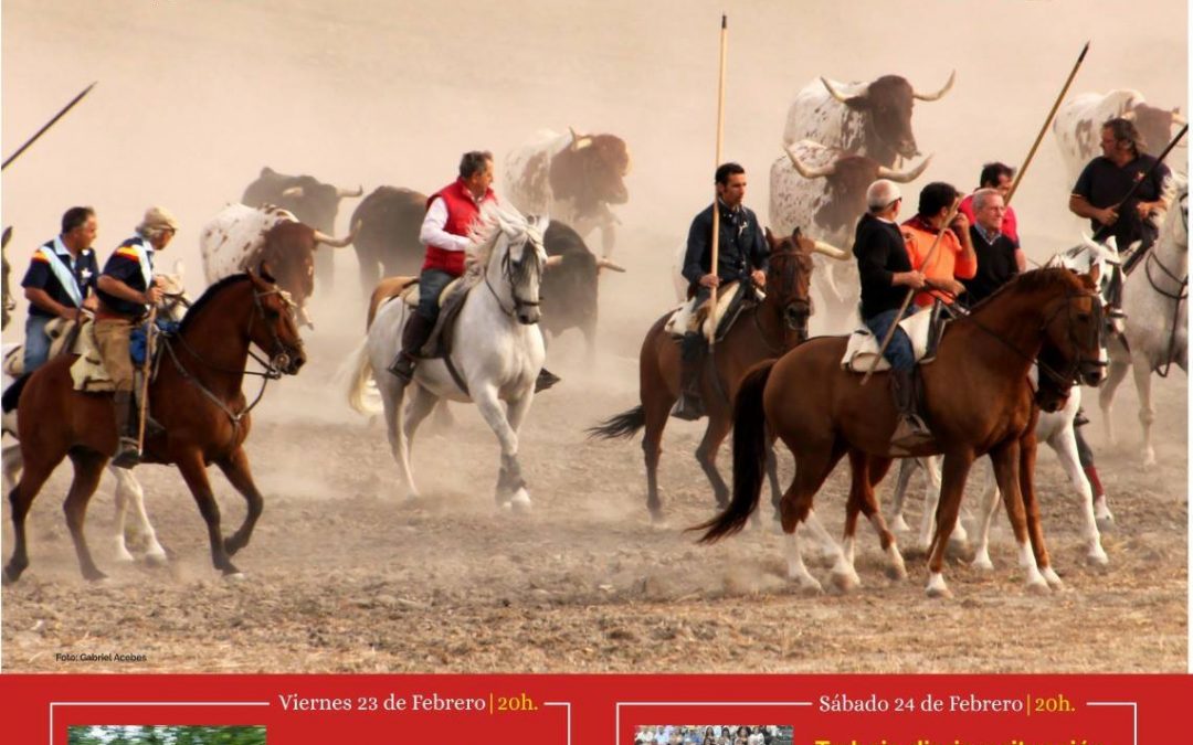 Sergio Galán en la XV Jornada de la Asoc. de Caballistas “El Comeso del Portillo”