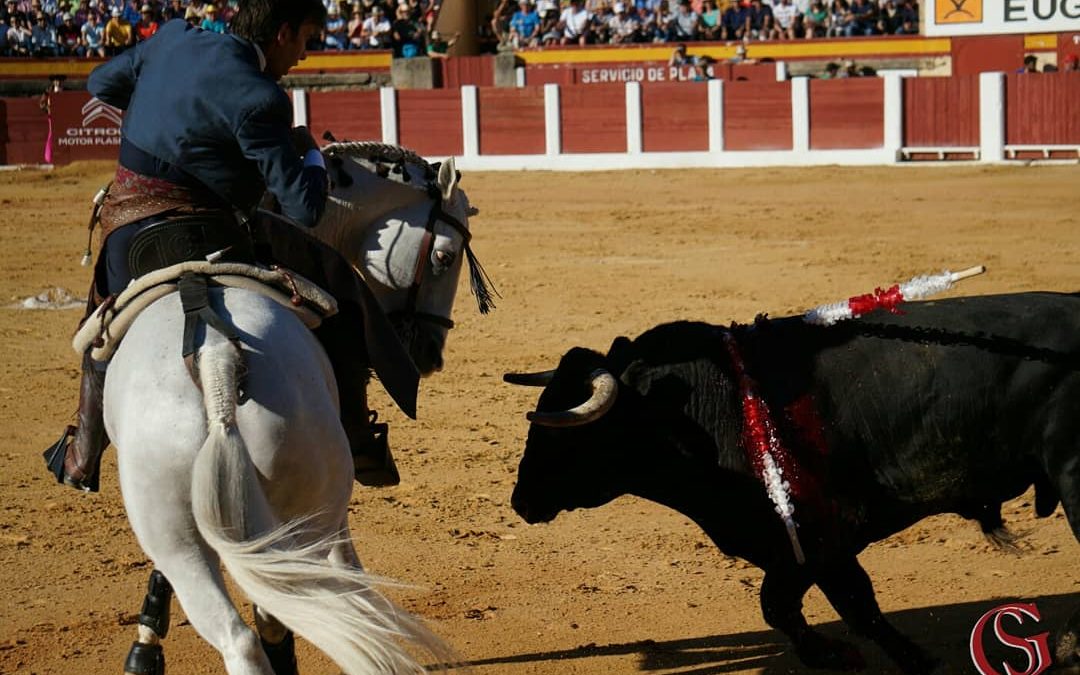 Oreja al toreo puro y clásico de Sergio Galán