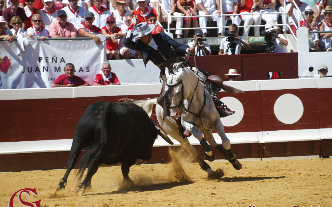 Dax, más toreo que toro