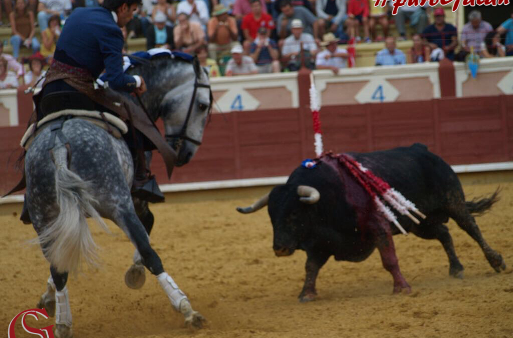 Oreja y torería