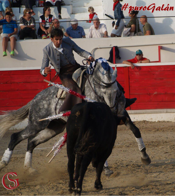 Tres orejas y puerta grande en Maranchón