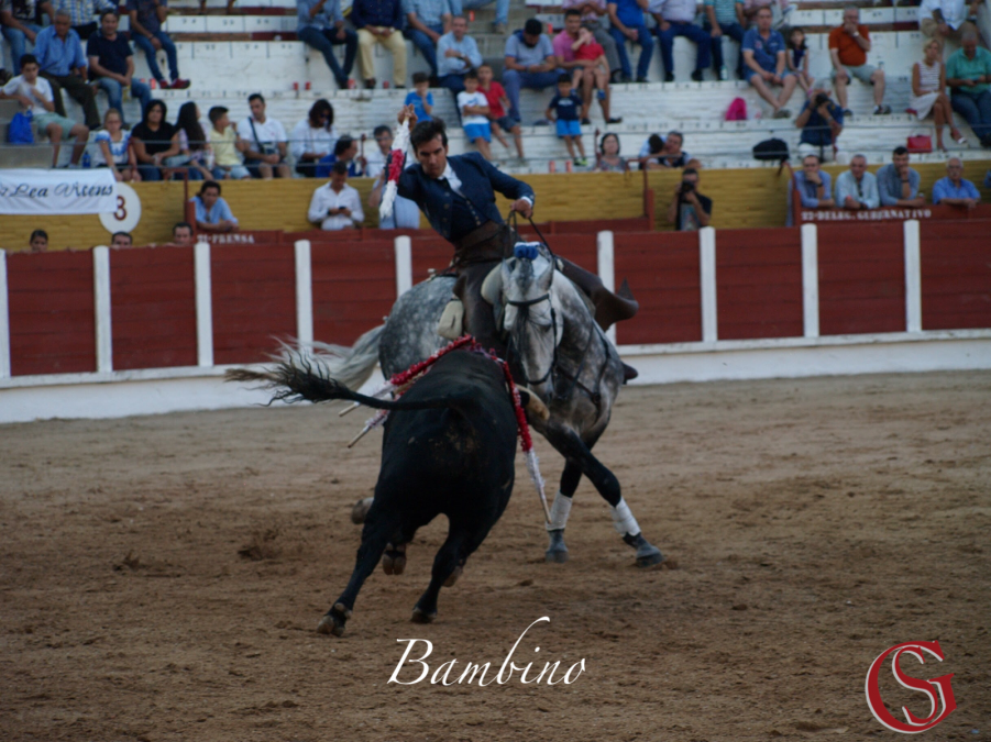 Brillante cuadra de Sergio Galán en Guadalaara