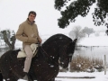 2SGcaballo-nieve.jpg