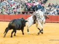 Ojeda, pegando un muletazo.